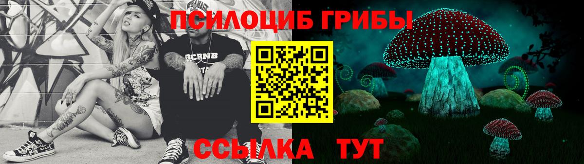 Галлюциногенные грибы Psilocybe Миасс